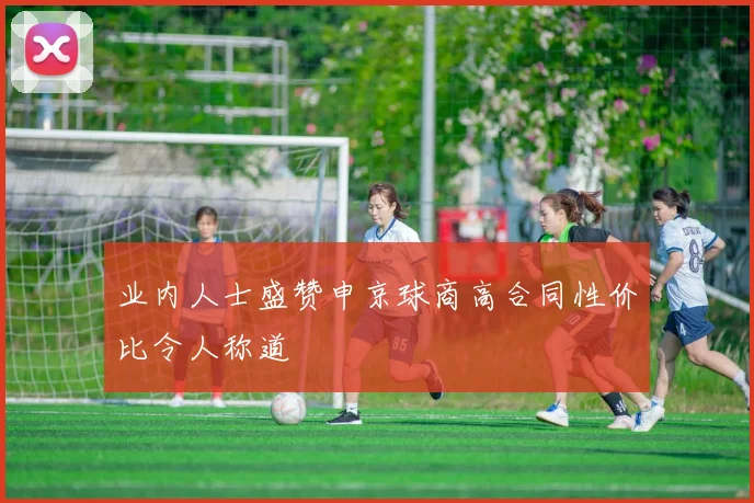 业内人士盛赞申京球商高合同性价比令人称道